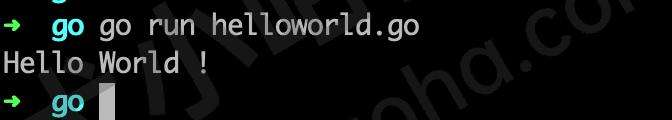 编写 Go 语言第一个程序: Hello World !