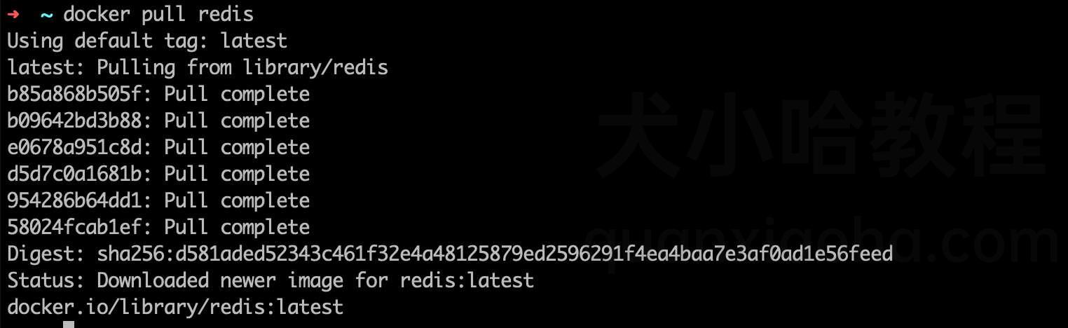 Docker 安装 Redis(图文教程)