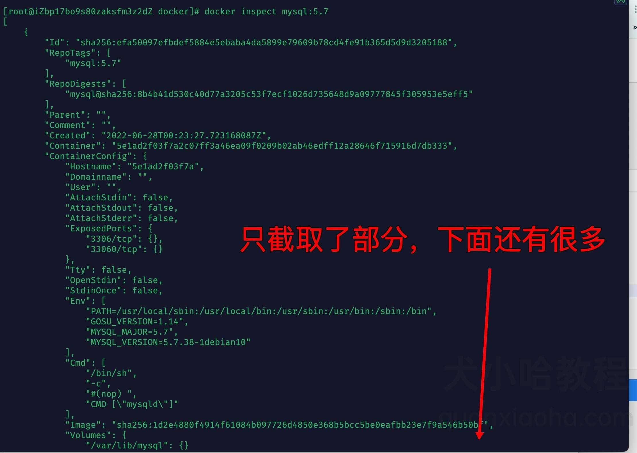 Docker inspect 查看镜像详细信息 Docker inspect 查看镜像详细信息