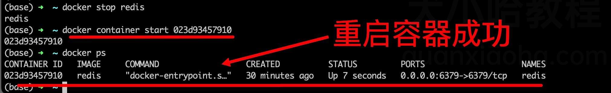 重启 redis 容器 重启 redis 容器
