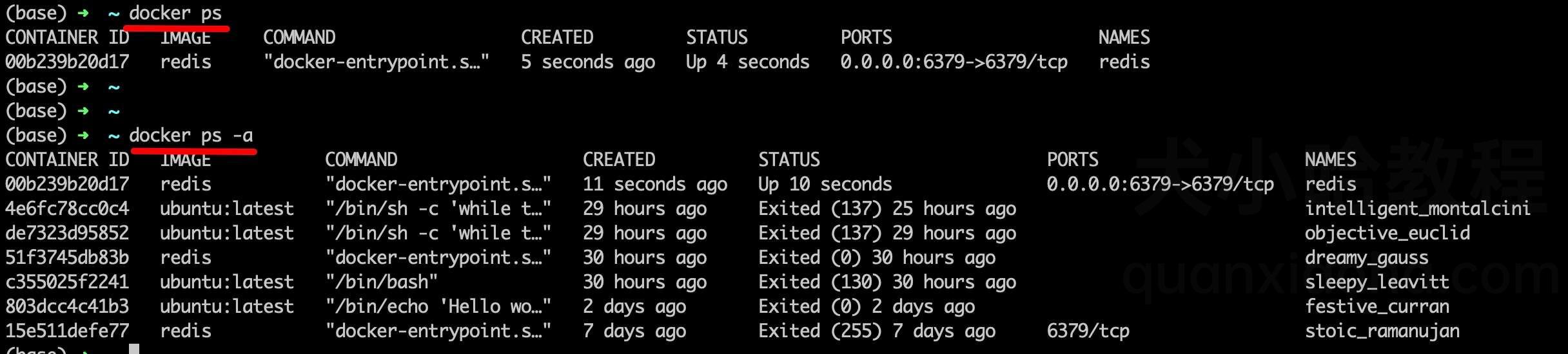 Docker 查看容器