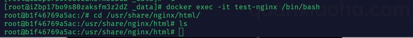 docker 进入容器 docker 进入容器
