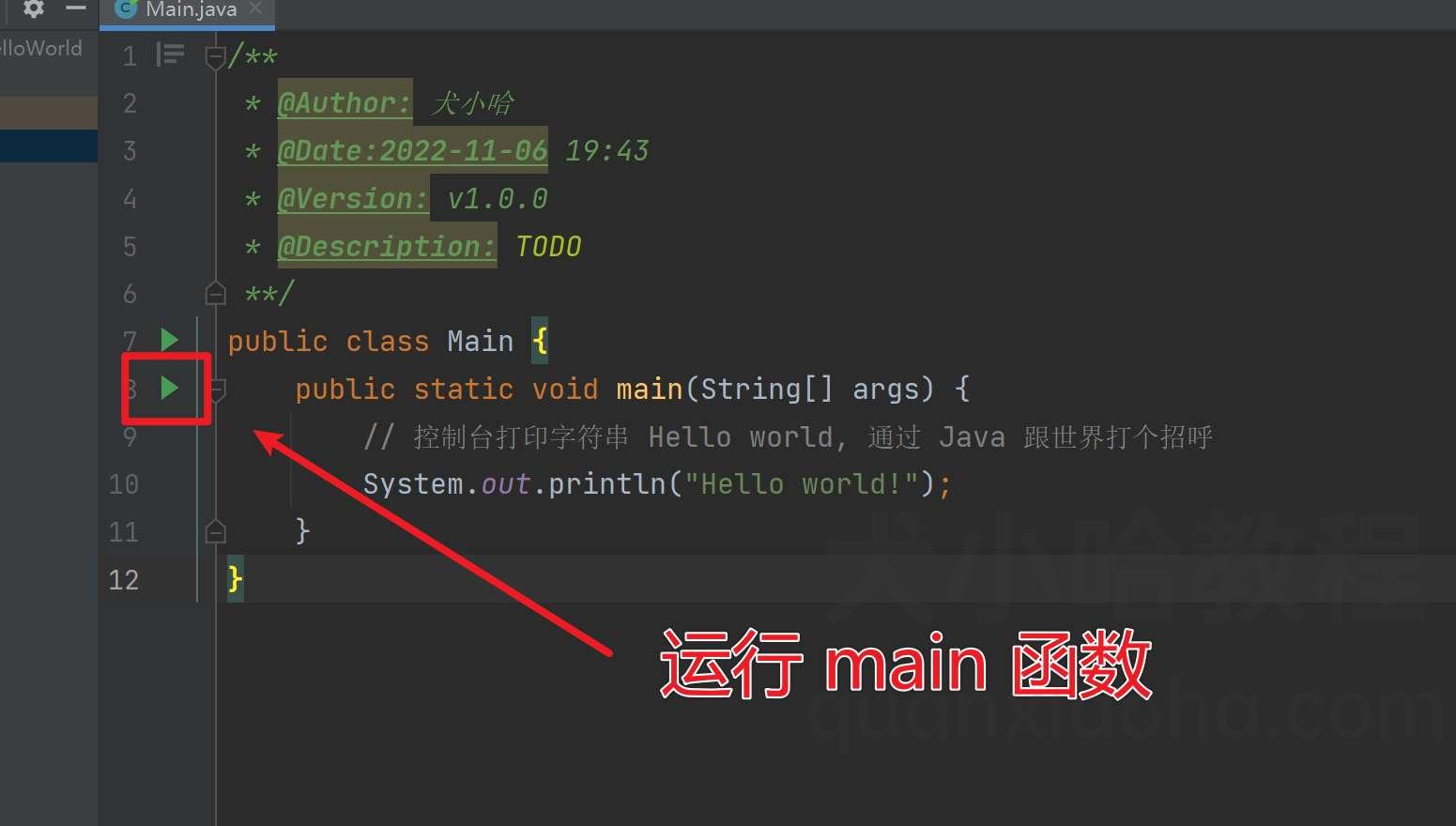运行 main 函数 运行 main 函数