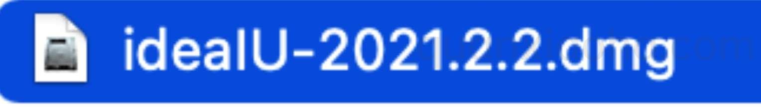 IDEA 2021.2.2 安装包 IDEA 2021.2.2 安装包