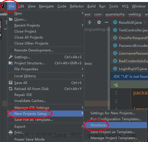 全局配置 JDK 全局配置 JDK