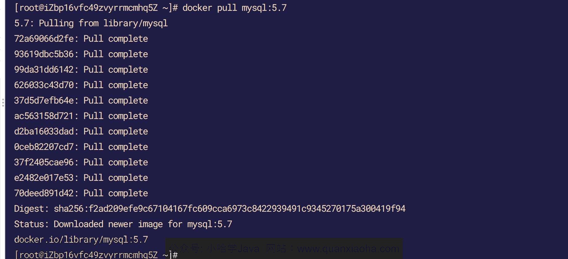Docker 拉取 MySQL 环境 Docker 拉取 MySQL 环境
