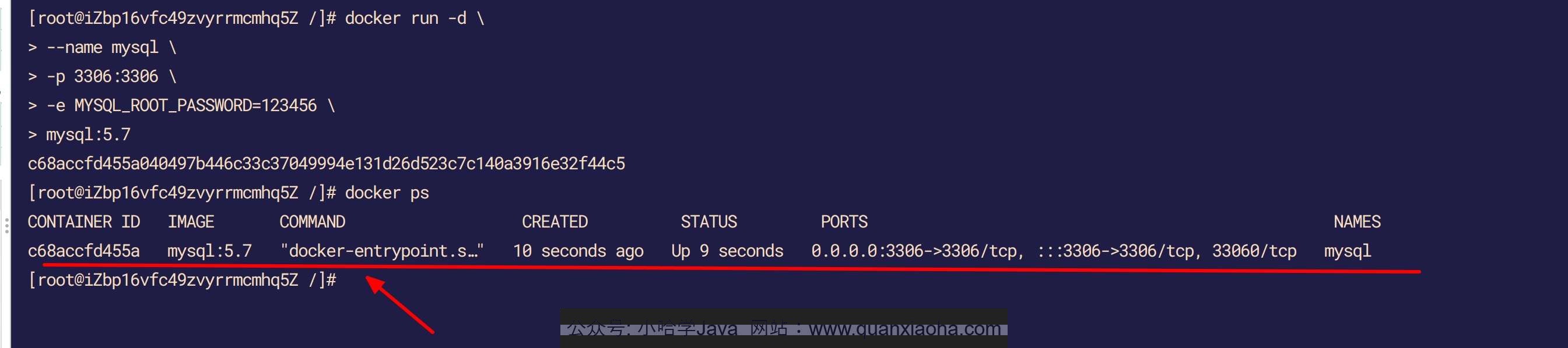 Docker 启动 MySQL 容器 Docker 启动 MySQL 容器
