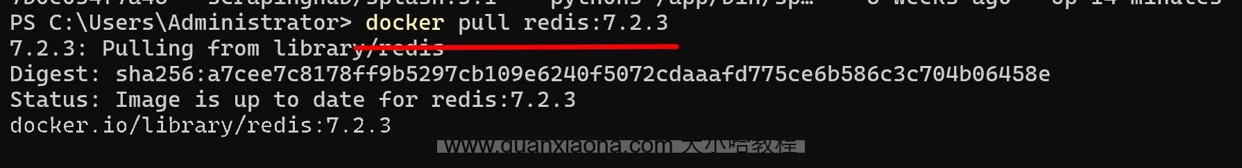 下载 Redis 镜像 下载 Redis 镜像